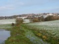 /album/my-local-birding-gallery/wintery-conditions-return-to-my-patch-jpg/